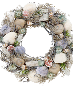 6741 COURONNE SHELLS